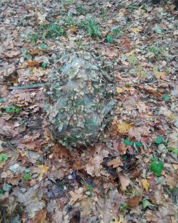 Чехол маскировочный Леший на рюкзак 80 литров (расцветка осень 1).