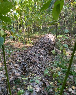 Костюм маскировочный Леший.